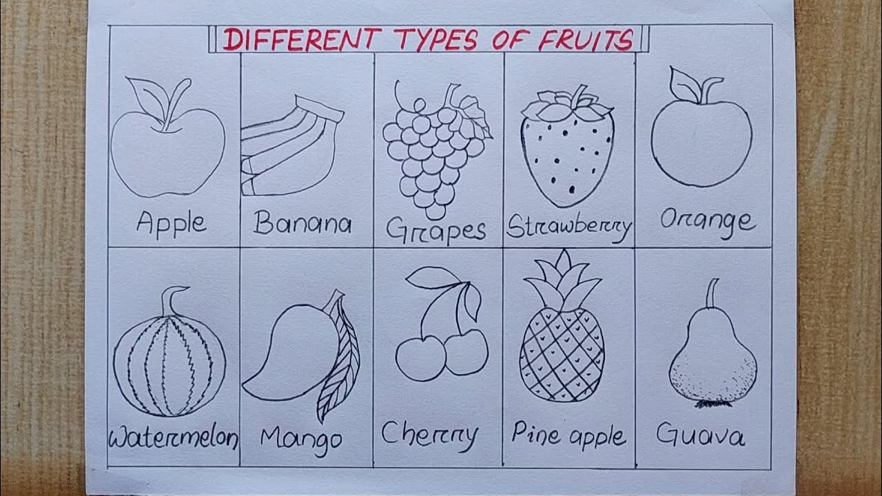 Fruits Drawing : Tips for Fruits Drawing - CareerGuide